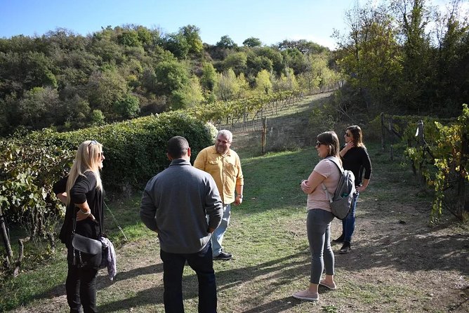 Brunello Vineyards Bus Tour - The pace, group size, and practical limits