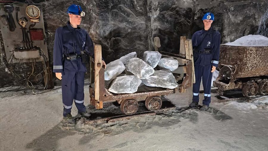 Bucharest Bus Tour: Salt mine & Dracula Tomb Half Day Trip - The $25 price and the real cost