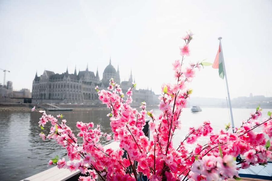 Budapest: Daytime Hop-on Hop-off Cruise with Welcome Drink - How I would plan the day