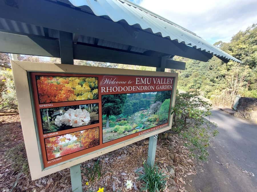 Burnie Attractions Bus - Key points to know before booking