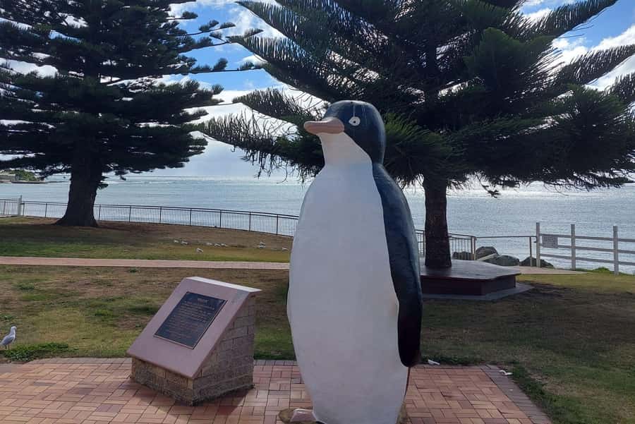 Burnie Attractions Bus - Emu Valley Rhododendron Gardens: the tour’s strongest stop