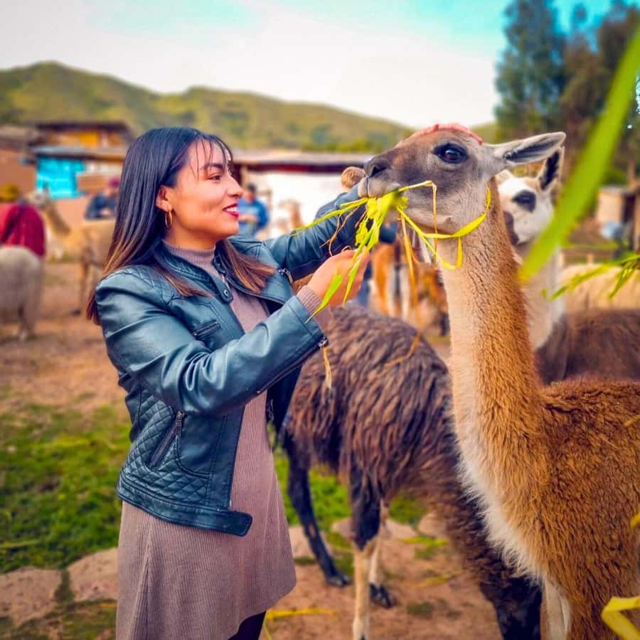 BUS 180 CUSCO - Is $37 good value?