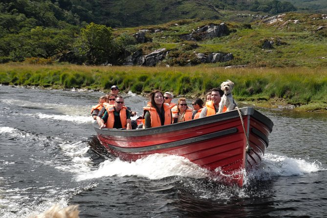 Bus & Boat Tour - Ross Castle and the 11 a.m. boat departure