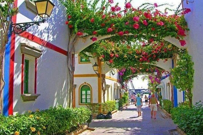 Bus to the local market of Puerto de Mogan - Food, toilets, and the practical side of the visit