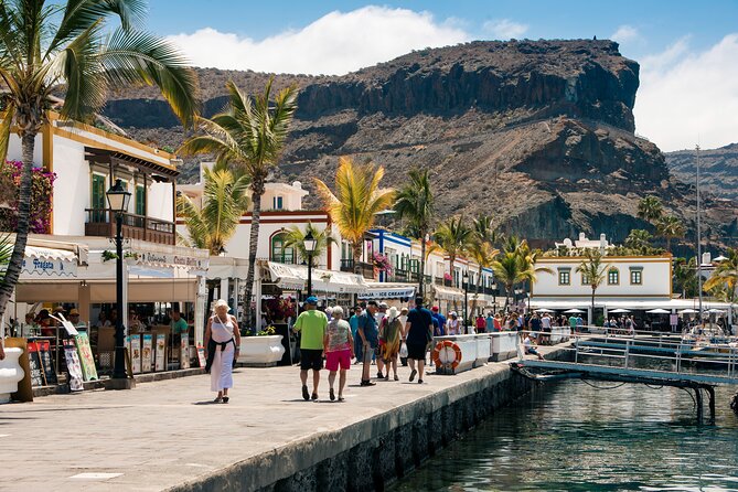 Bus to the local market of Puerto de Mogan - Is $27.71 good value?