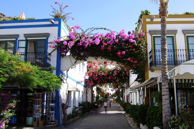 Bus to the local market of Puerto de Mogan - Who will enjoy this Puerto de Mogan trip?