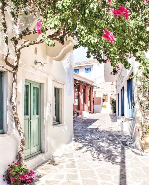 Bus Tour Around the island of Naxos - Key points to know before you book
