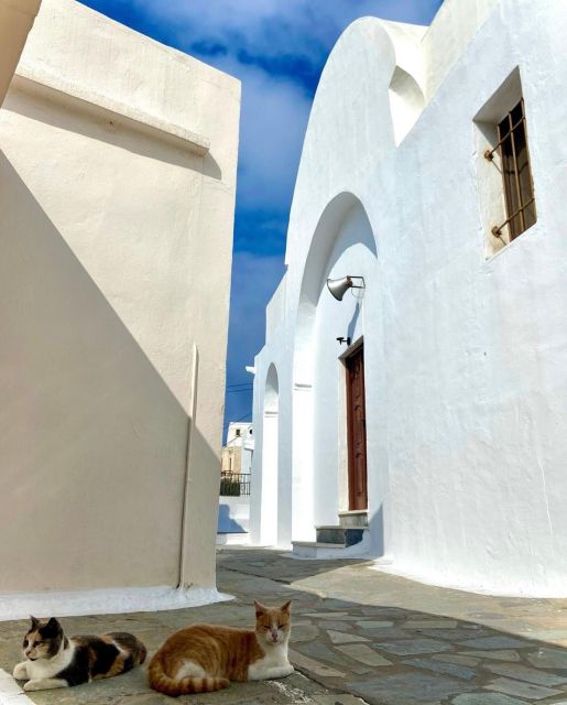 Bus Tour Around the island of Naxos - Demeter’s Temple and the first look at ancient Naxos