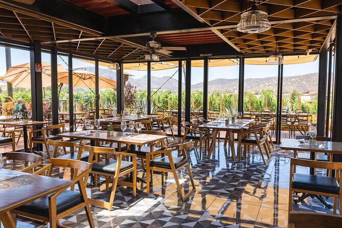 Bus Wine Tour by Ansell Tours - Vina de Frannes pairs wine with a canyon view