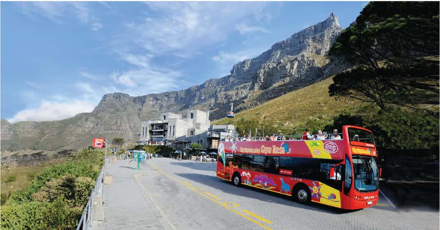 Cape Town: Hop-On Hop-Off Bus Tour with Optional Cruise - Key points to know before you go