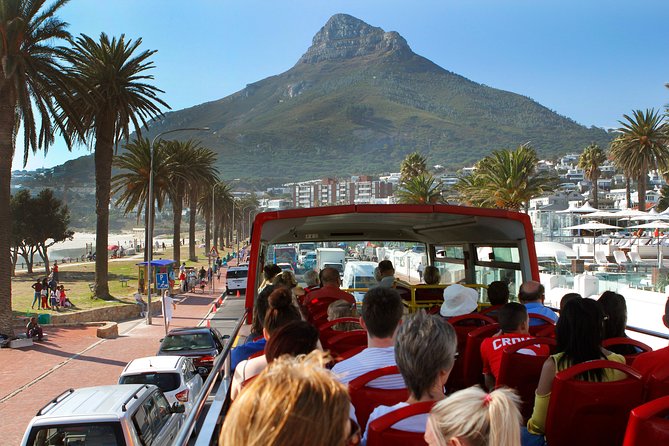Cape Town Hop-On Hop-Off City Tour with Optional Cruise - Who should book this Cape Town bus tour?