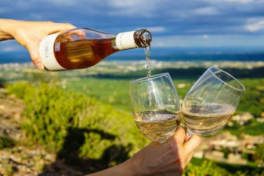 Cape Town: Hop On, Hop Off: Franschhoek Wine Tram Tour! - The Orange Line and its larger selection