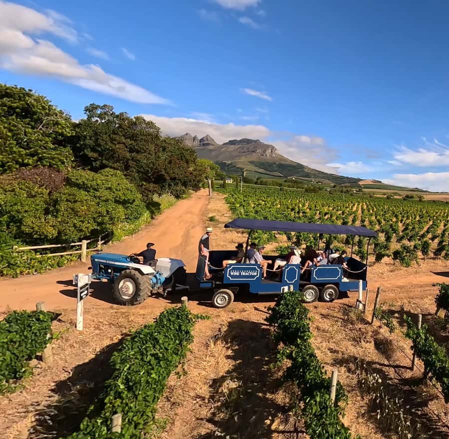 Cape Town: Stellenbosch Hop-On Hop-Off Tractor Transfer - Key points to know before you book