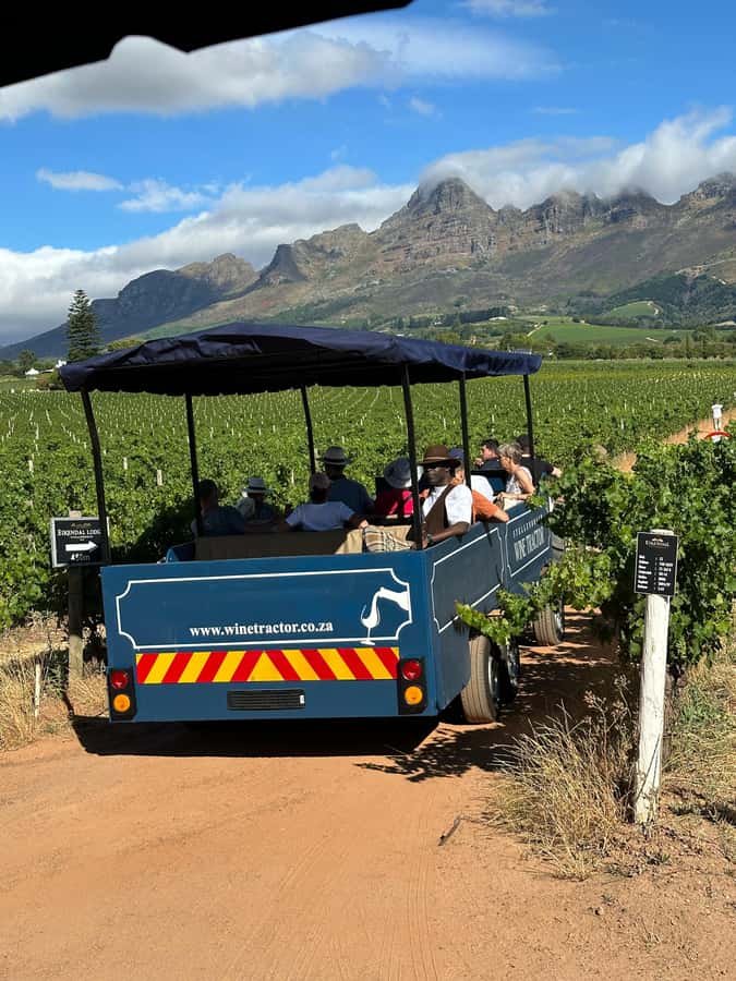 Cape Town: Stellenbosch Hop-On Hop-Off Tractor Transfer - What the wine stops add to the day