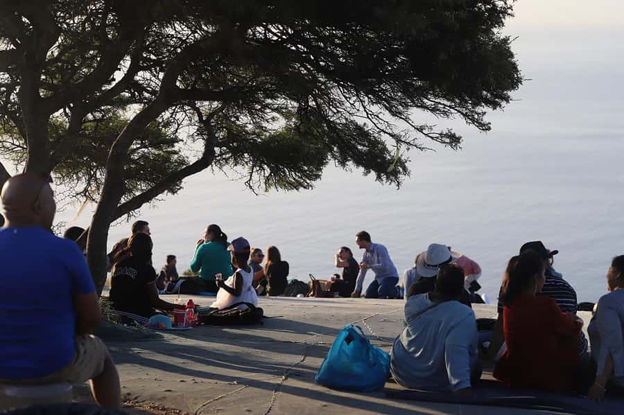 Cape Town: Sunset Bus Tour with Picnic on Signal Hill - Why this sunset ride works so well