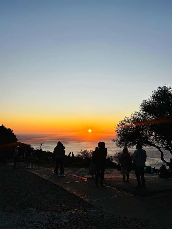 Cape Town: Sunset Bus Tour with Picnic on Signal Hill - Practical tips for a smoother evening