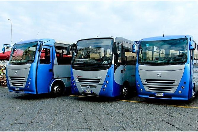 CAPRI - DIY Day Trip Package - BoatTour, BlueGrotto,Bus&Lunch - Returning to Capri center by bus