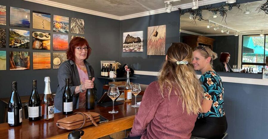 Carmel Valley Village: Wine Tasting Tours in a 1970 VW bus. - Who should book this outing?