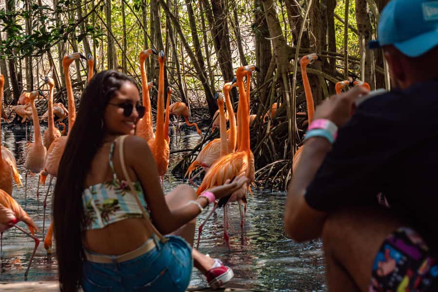 Cartagena: Day Trip Aviary and enjoy Playa Blanca by bus - A full day from Cartagena to Barú