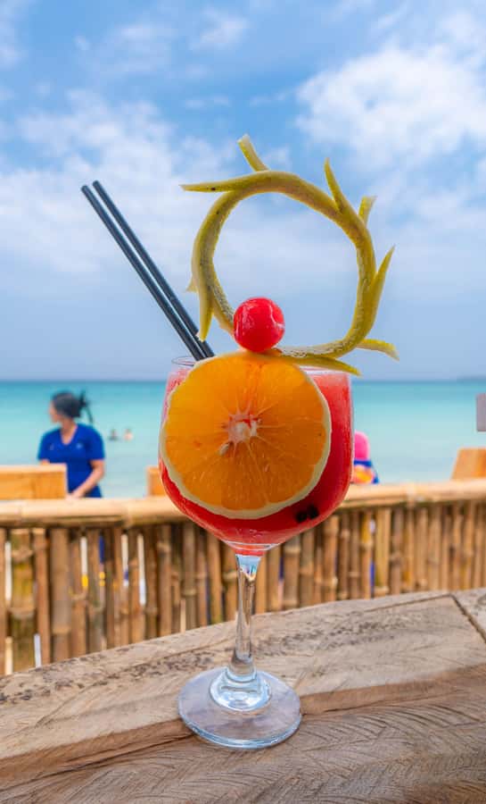 Cartagena: Day Trip Aviary and enjoy Playa Blanca by bus - Three hours at Playa Blanca, Barú