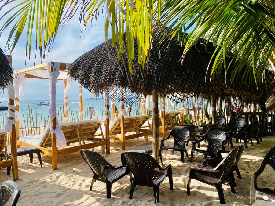 Cartagena: Day Trip Aviary and enjoy Playa Blanca by bus - The National Aviary deserves the best part of your attention