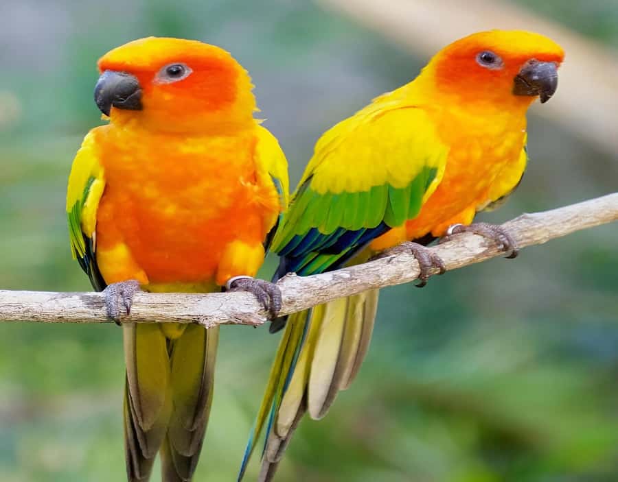 Cartagena: Daytour Aviary and Playa blanca, Barú by bus! - Cancellation and booking flexibility