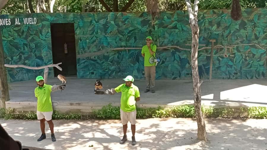Cartagena: Daytour Aviary and Playa blanca, Barú by bus! - Exploring the National Aviary of Colombia