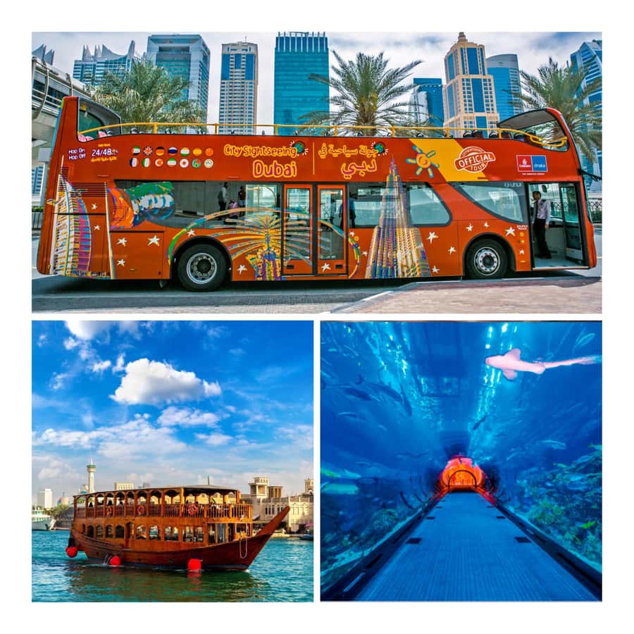 City Sightseeing Dubai Hop-On Hop-Off Bus Tour & Dhow Cruise - Blue Route: Palm Jumeirah, beaches, and the marina
