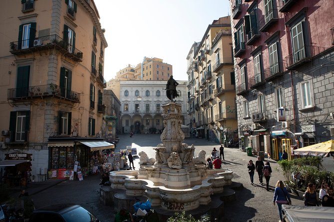 City Sightseeing Naples Hop-On Hop-Off Bus Tour - Is $31.21 a fair price?