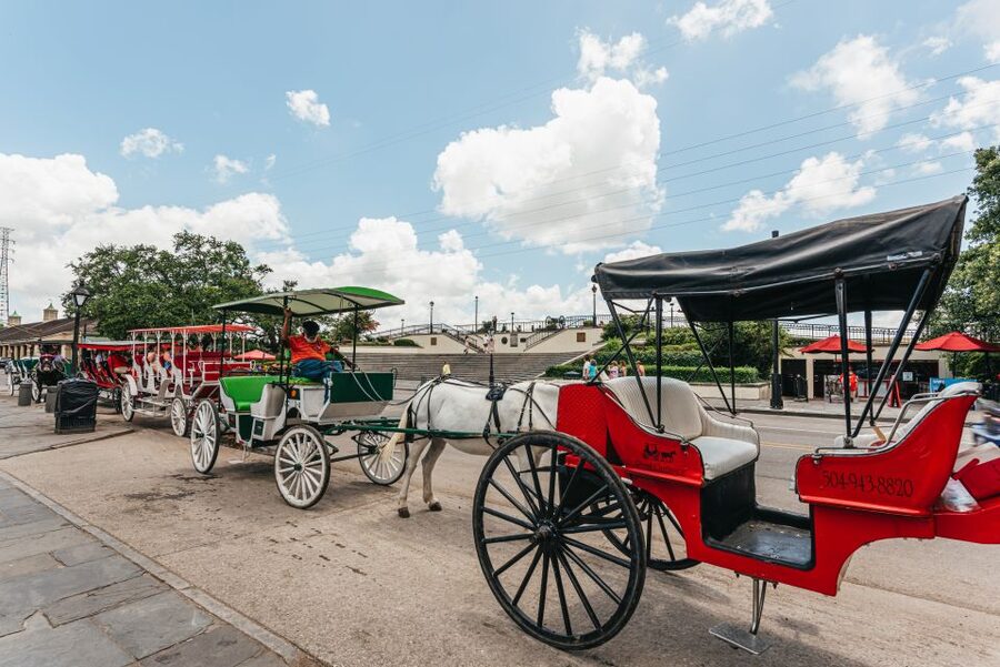 City Sightseeing New Orleans HOHO Bus Tour & Bookable Extras - Canal Street, Bourbon Street, and the central city
