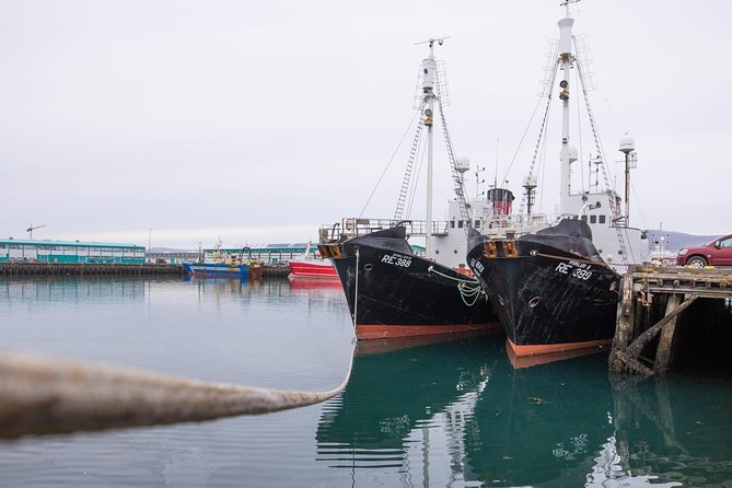 City Sightseeing Reykjavik Hop-On Hop-Off Bus Tour: 24 or 48-Hour - The northern route: hotels, pools, and the harbor