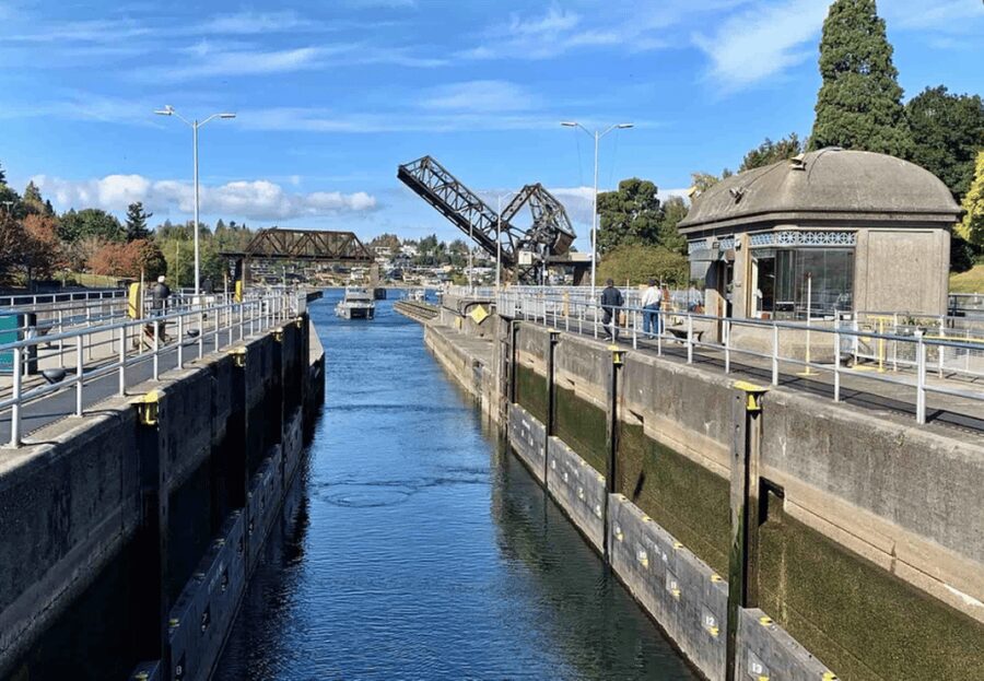 City Sightseeing Seattle: HOHO Bus Tour + Locks Cruise - Is $109 a fair price?