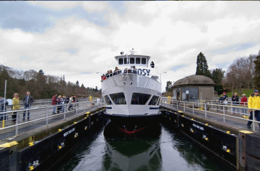 City Sightseeing Seattle: HOHO Bus Tour + Locks Cruise - Chinatown and the city center by bus