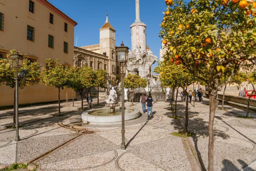 Córdoba: City Sightseeing Hop-On Hop-Off Bus Tour - Audio commentary and the view from the bus