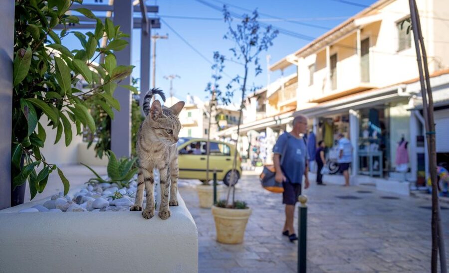 Corfu: Shore & Shared Tour – Kassiopi & Canal d’Amour - Canal d’Amour and Sidari’s unusual cliffs