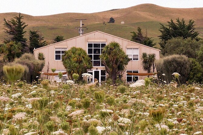 CRUISE SHIP DAY LYTTELTON Hop On Hop Off Wine Tours to Waipara - How to plan five hours without rushing
