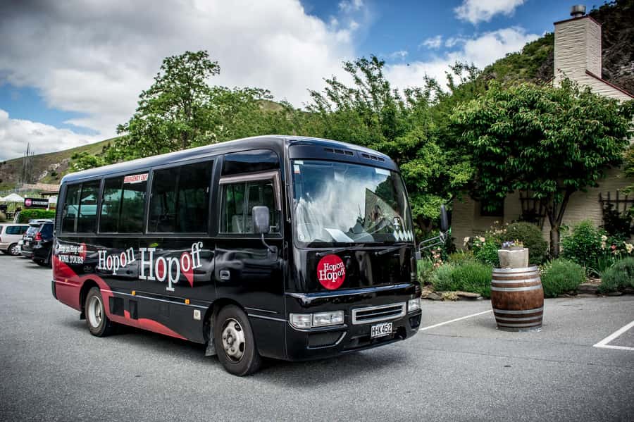 CRUISE SHIP DAYS - HOP ON HOP OFF - Wine, Beer, Food Tour - Key points before you board