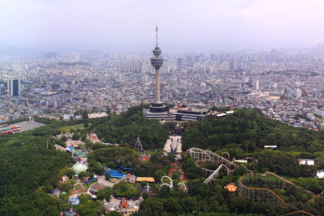 Daegu Hop on Hop off City Tour Bus Discount Ticket (내국인불가) - Why This Bus Makes Sense in Daegu