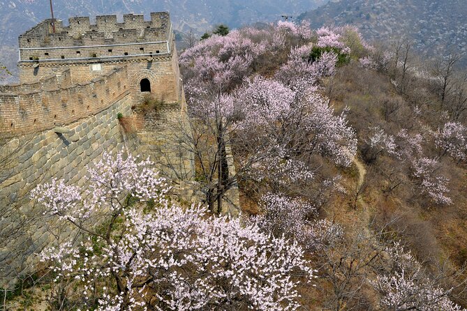Daily Departure: Mutianyu Great Wall Bus Tour (Max. 8 Hours) - Who should choose this tour?