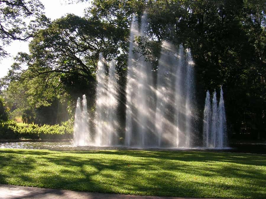 Darwin: City Explorer Bus Tour with Tour Tub - Key points to know before booking