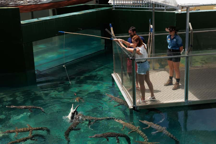 Darwin: Crocosaurus Cove Entry & Hop-on-Hop-Off Bus Tour - Rain, cruise arrivals, and practical access
