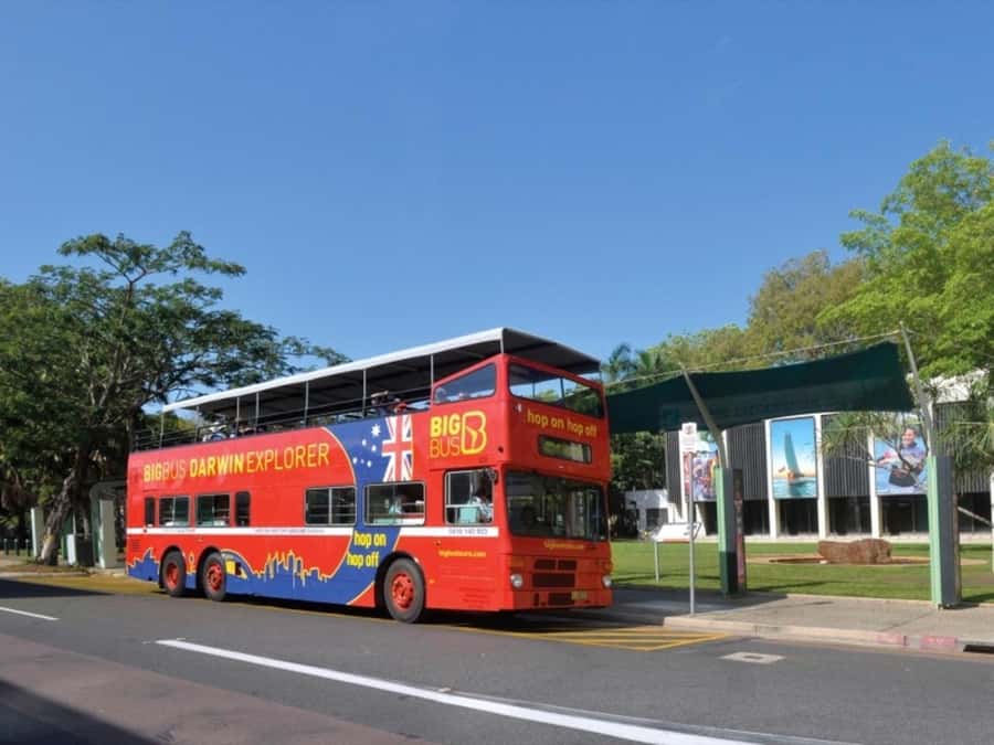Darwin: Crocosaurus Cove Entry & Hop-on-Hop-Off Bus Tour - Crocosaurus Cove and Darwin’s reptiles