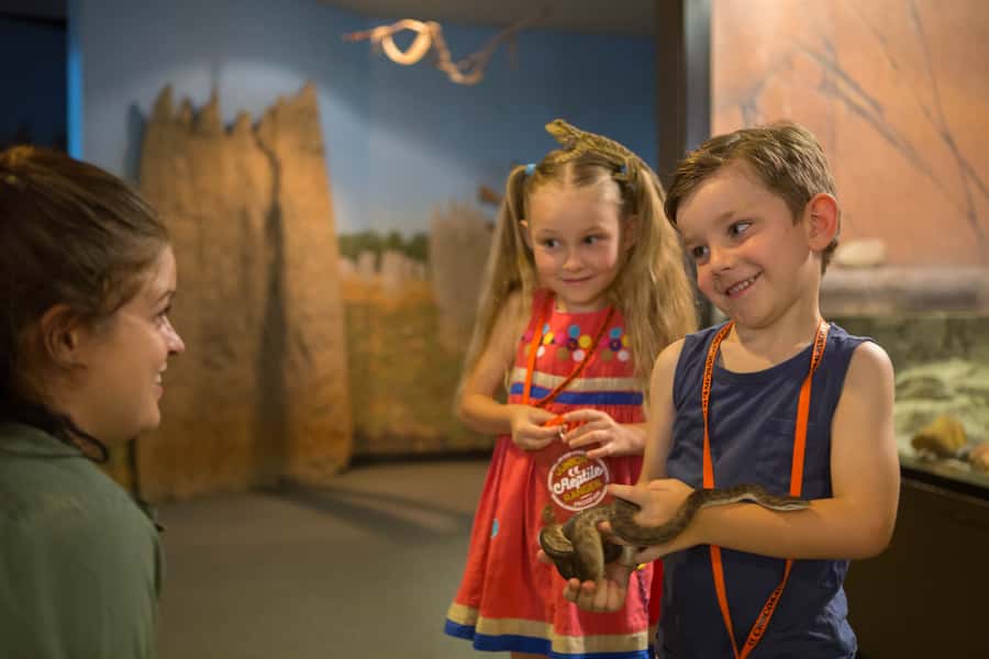 Darwin: Hop-On Hop-Off Bus, Crocosaurus Cove and RFDS Entry - Key points before you book