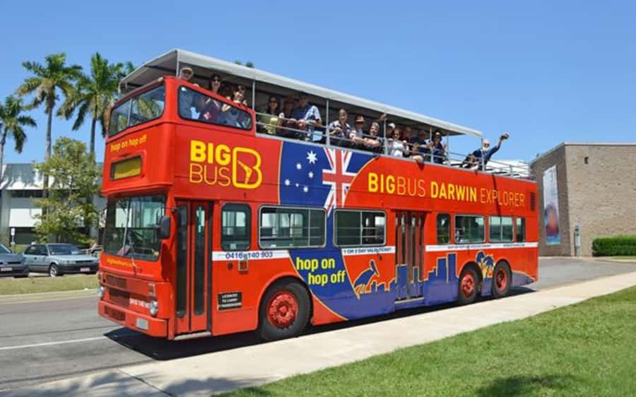 Darwin: Hop-On Hop-Off Bus, Crocosaurus Cove and RFDS Entry - Crocosaurus Cove and Darwin’s reptile focus