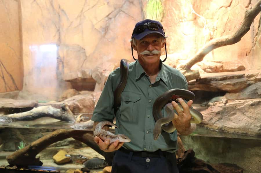 Darwin: Hop-On Hop-Off Bus, Crocosaurus Cove and RFDS Entry - Riding the double-decker bus around Darwin