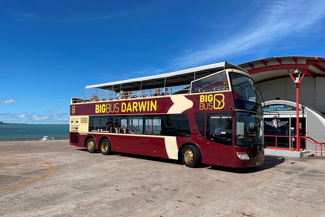 Darwin Hop-on Hop-off Bus Tour - Five things to know before you board