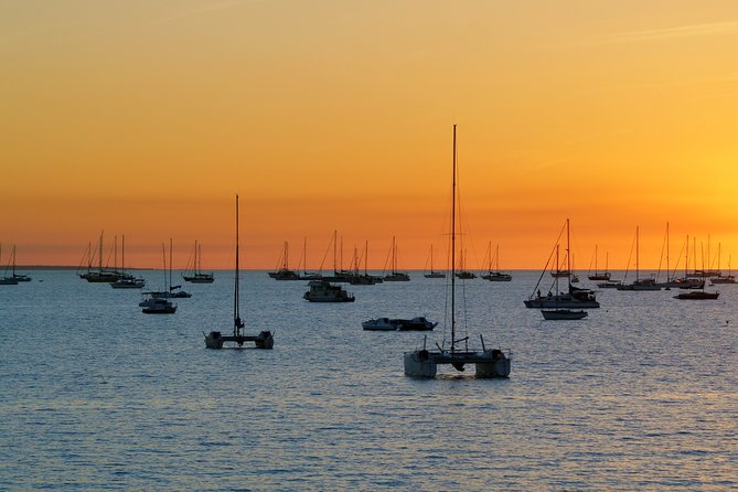 Darwin Shore Excursion: Hop-on Hop-off Bus Tour - What you can expect at the main stops