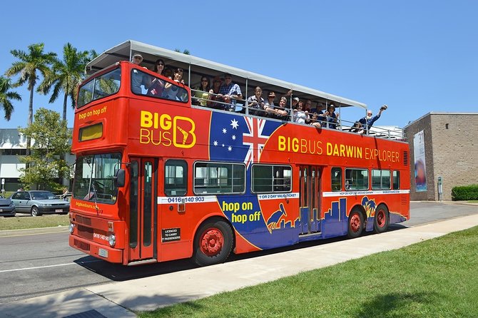 Darwin Shore Excursion: Hop-on Hop-off Bus Tour - Timing, comfort, and bus condition