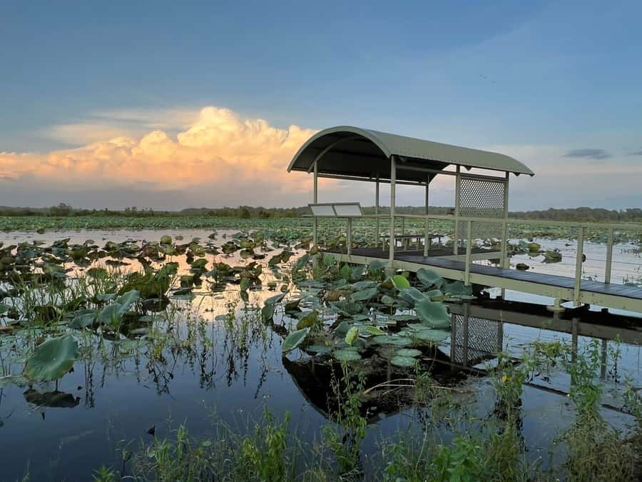 Darwin: The Croc Bus to the Famous Jumping Crocodile Cruise - Is $92 good value?