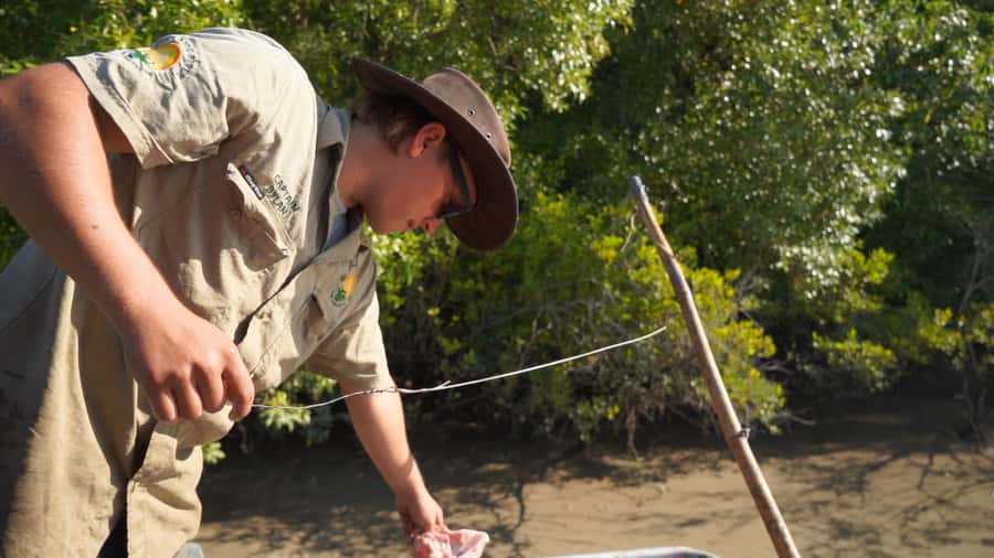 Darwin: The Croc Bus to the Famous Jumping Crocodile Cruise - What makes saltwater crocodiles such a strong subject